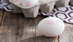 2026 3image 10 09 042018140egg 1